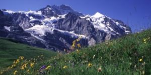 Swiss_Jungfrau_mountains